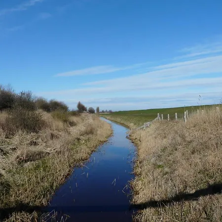 Haus Am Teich - Teichblick