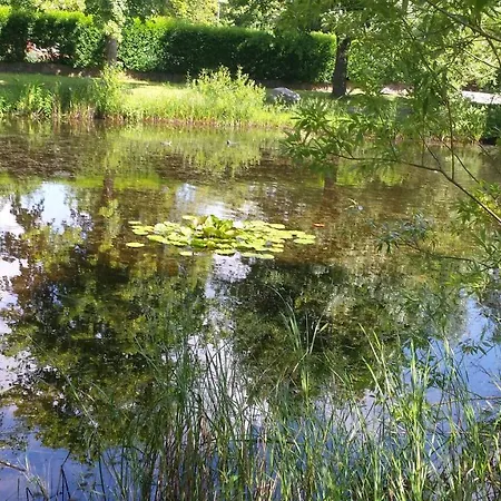 Apartment Haus Am Teich - Teichblick